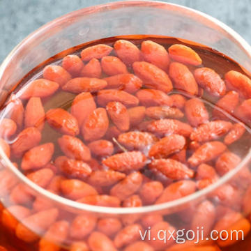 Nguyên liệu hữu cơ goji berry trái cây khô lycium berry